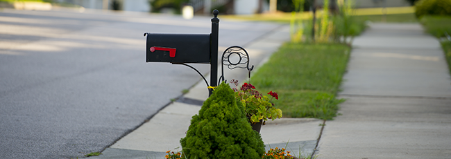 Photo of black mailbox along street with small green shrub in front